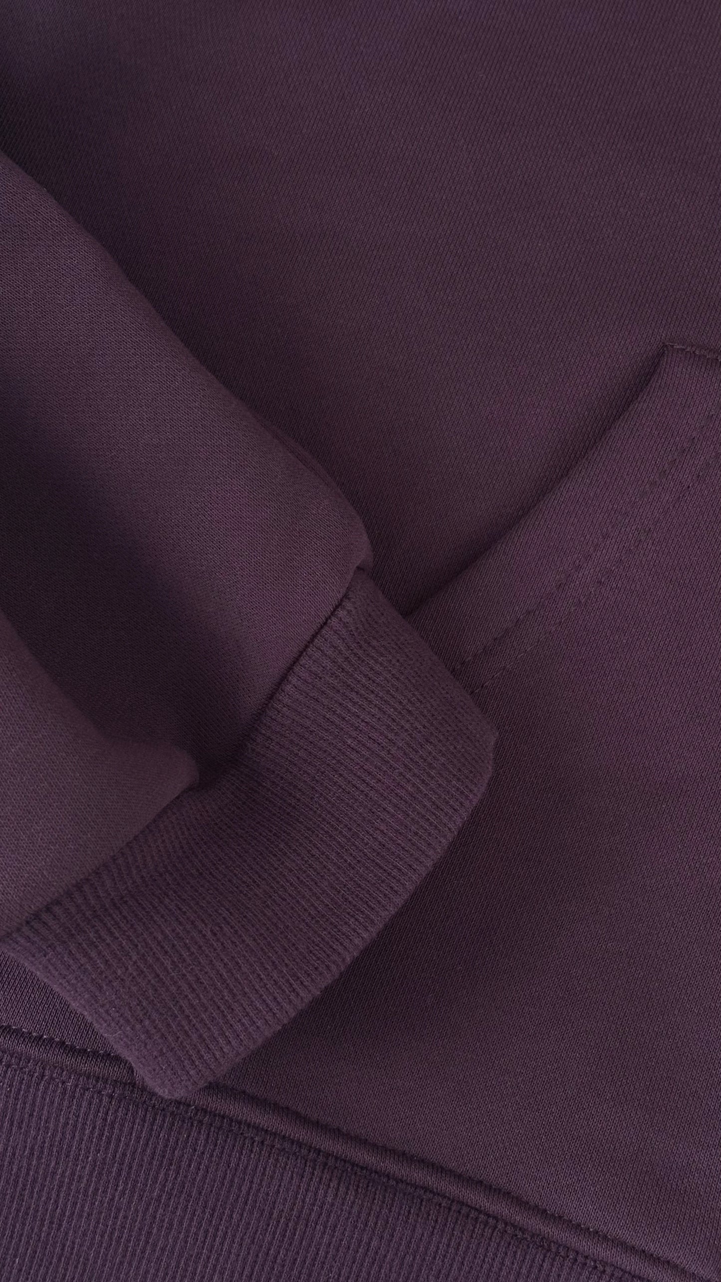 Mobius Zip Up Hoodie - Violet
