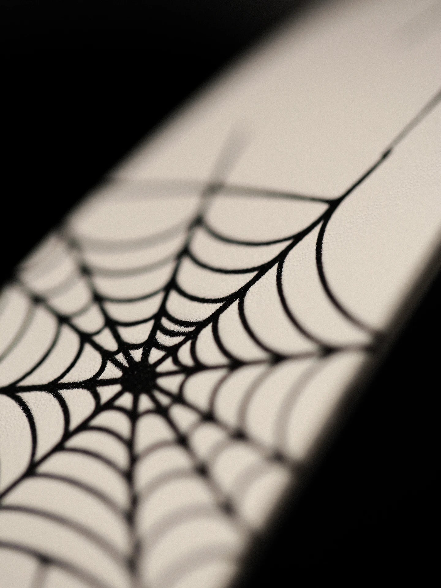 Mobius Spider  Belt - White (Free Spider Pin During Pre-Order)